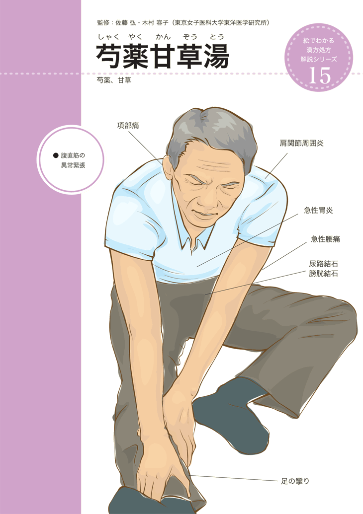 芍薬甘草湯(しゃくやくかんぞうとう) - 漢方スクエア